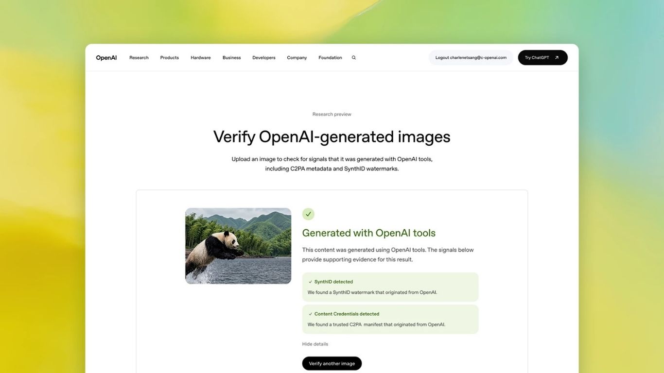 Verify Open Ai