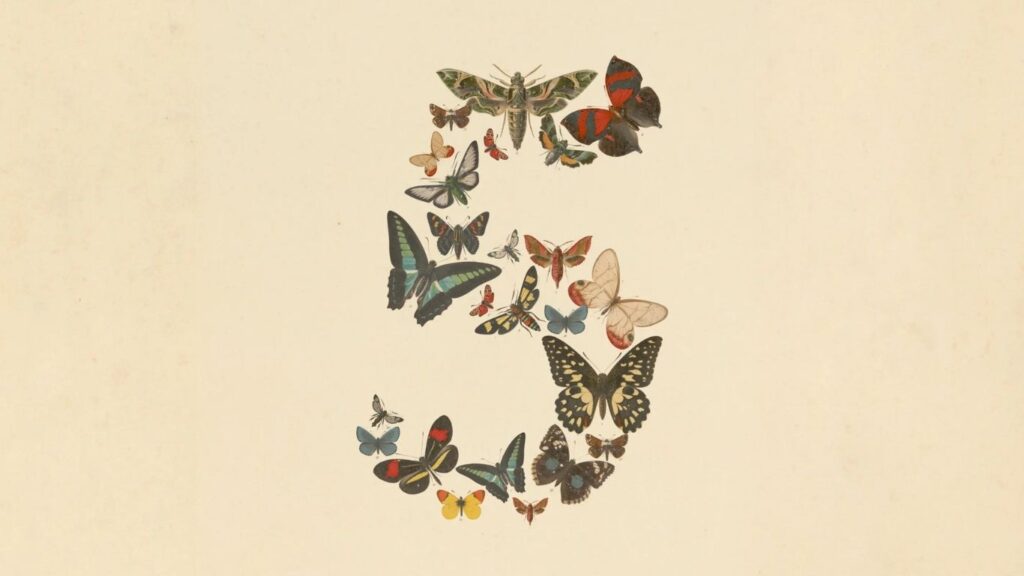 Claude Fable 5 and Claude Mythos 5